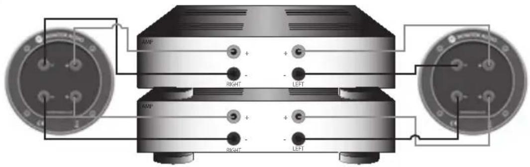 MONITOR AUDIO Bronze Centre - Cablagem dupla - 4