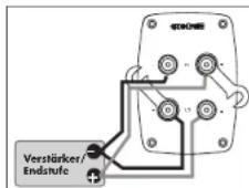 Quadral Quintas 601 II Base - Schraubklemmen - 4