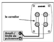Quadral Quintas 601 II Base - Bornes à vis - 3