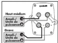 Quadral Quintas 601 II Base - Bornes à vis - 5