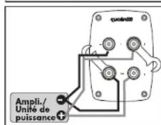 Quadral Quintas 601 II Base - Bornes à vis - 4