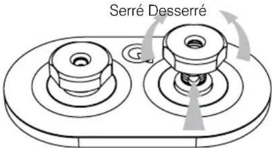 Q-ACOUSTICS 3060S - Connexion d'une borne - 1