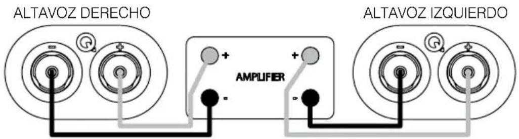 Q-ACOUSTICS 3060S - Conexiones estandar - 1