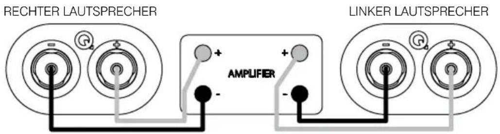 Q-ACOUSTICS 3060S - Standardanschlüsse - 1