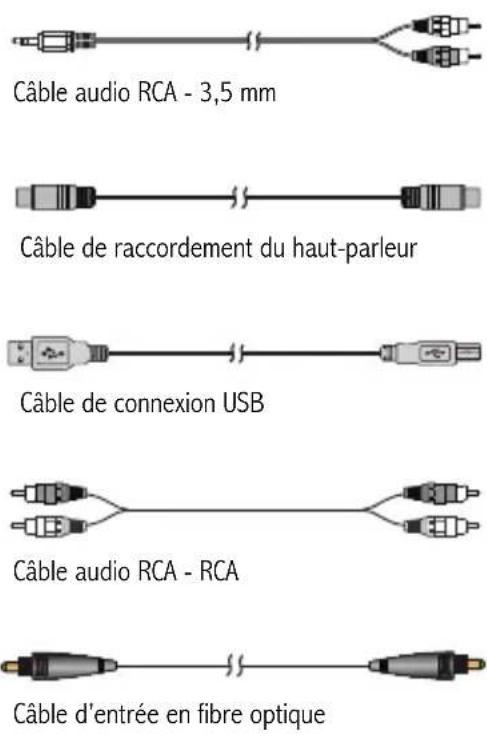 EDIFIER S880DB - FR Consignes de securite importantes - 2