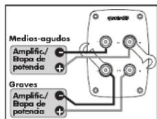 Quadral Argentum 550 - Bornes roscados - 5
