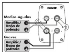 Quadral Quintas 606 II - Bornes roscados - 5