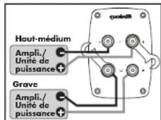 Quadral Quintas 606 II - Bornes à vis - 5