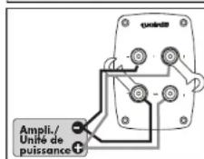 Quadral Quintas 606 II - Bornes à vis - 4