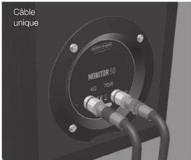 MONITOR AUDIO 300 - Configurations de câblage - 1