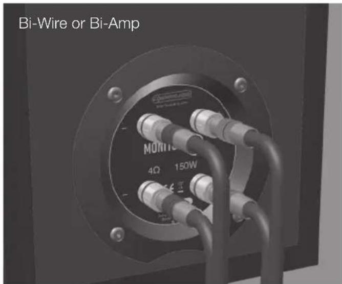 MONITOR AUDIO 300 - Wiring configurations - 3