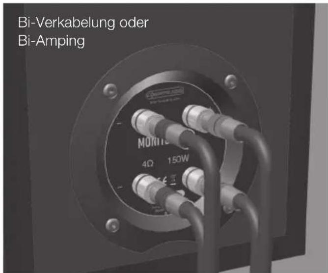 MONITOR AUDIO 300 - HINWEIS: Bei dieser Konfiguration MÜSSEN die mitgelieferten Klemmbrücken verwendet werden. - 1