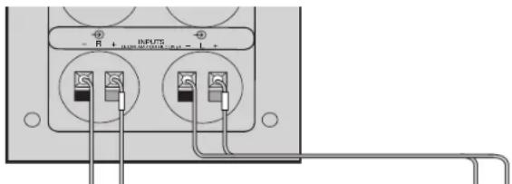 BOSE Acoustimass 5 Series V - Tilslutning af Acoustimass®-modulet til din modtager eller forstærker - 1