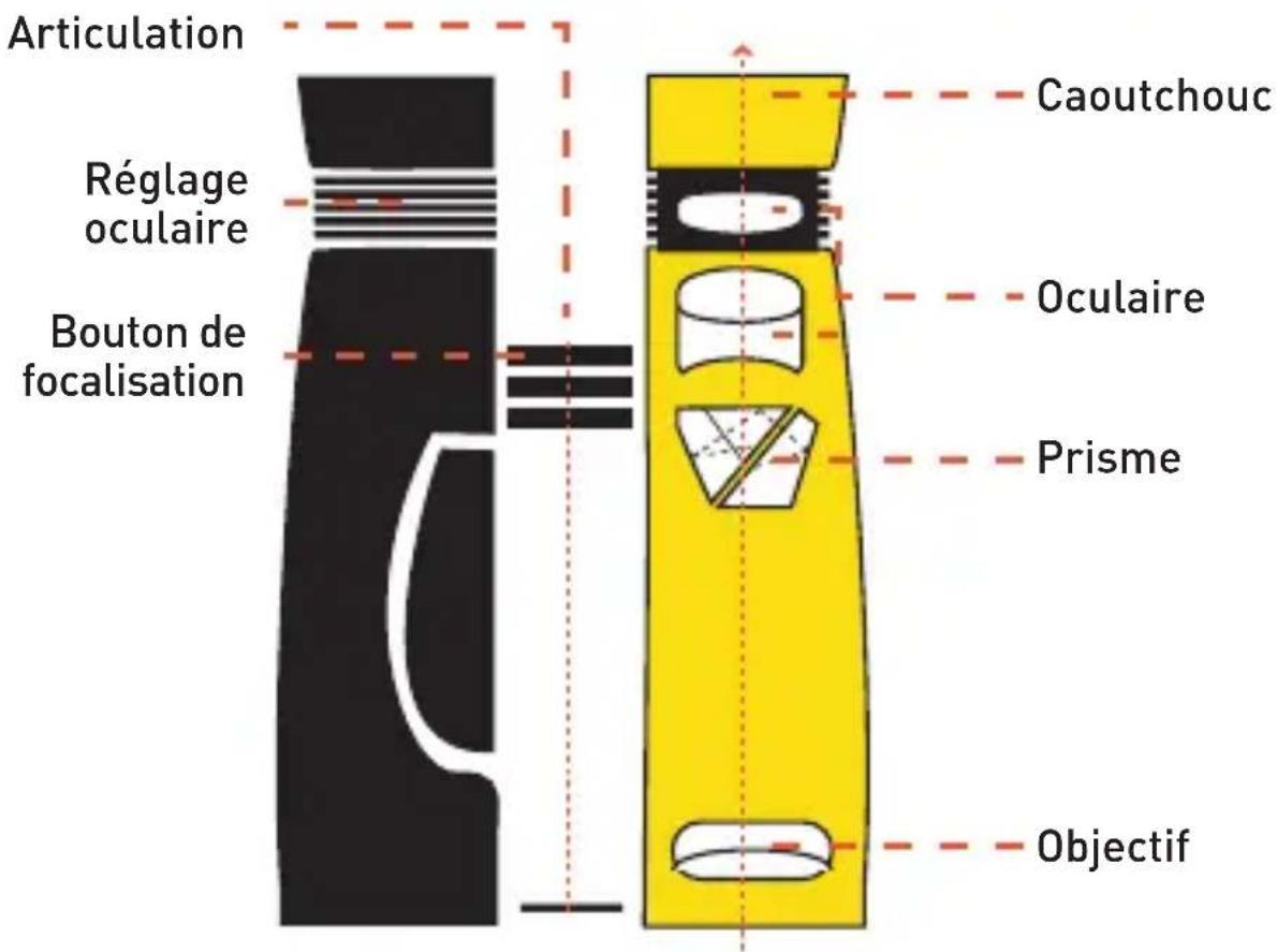 Bynolyt Stork 8x42 - 2