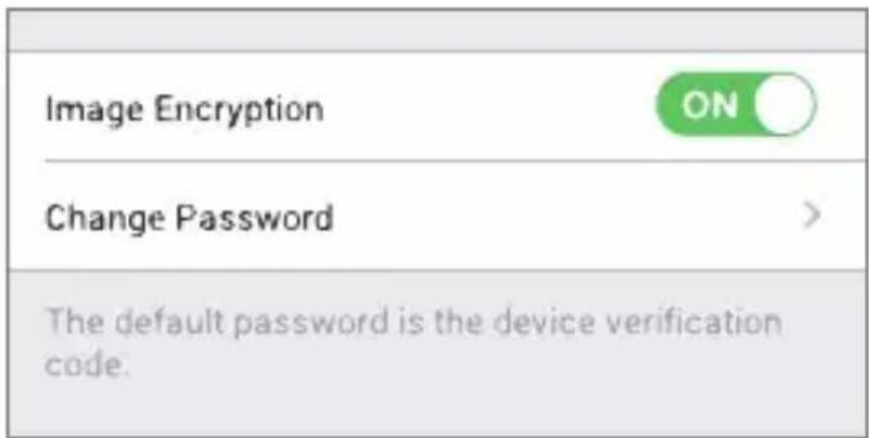 EZVIZ By C6T RF - (Optional) Enable the Image Encryption - 1