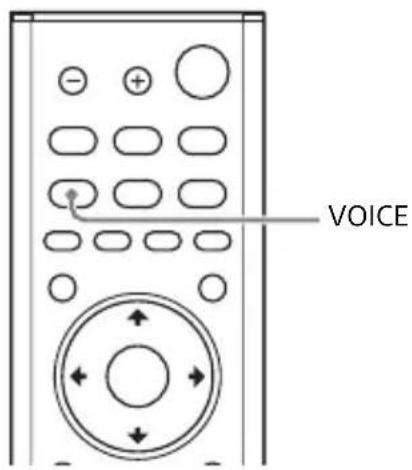 SONY HTMT500 - Dialogen duidelijker maken (VOICE) - 1