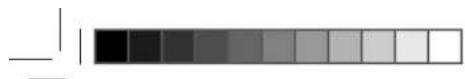 BLAUPUNKT Bluebot XEasy VCCB1XE - FORORD - 1