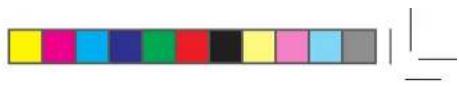 BLAUPUNKT Bluebot XEasy VCCB1XE - ENTSORGUNG - 3