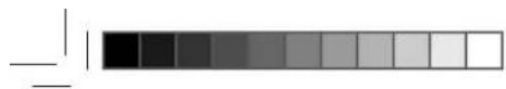 BLAUPUNKT Bluebot XEasy VCCB1XE - ENTSORGUNG - 2