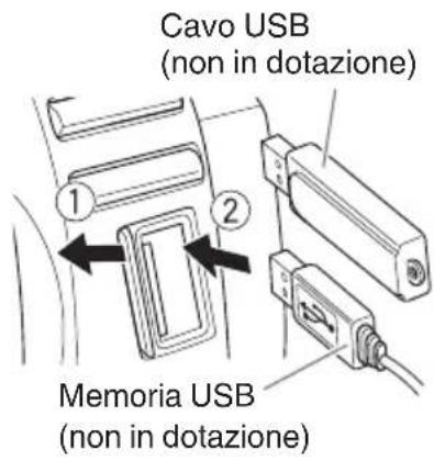 Cavo USB (non in dotazione) Memoria USB (non in dotazione)