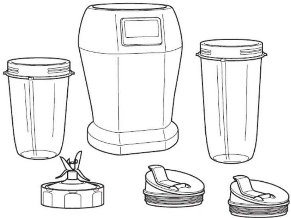 NINJA BL 450 - Getting To Know Your Nutri Ninja™ Pro - 6