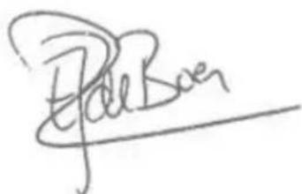 PowerPlus Dual Power POWDPG7538 - DICHIARAZIONE DI CONFORMITA - 3