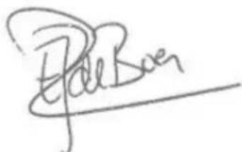 PowerPlus Dual Power POWDPG7538 - DECLARACÇÃO DE CONFORMIDADE - 3