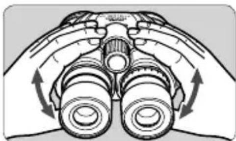 CANON 10x42 L IS WP - Ajustez la position de l'eelleton. - 1