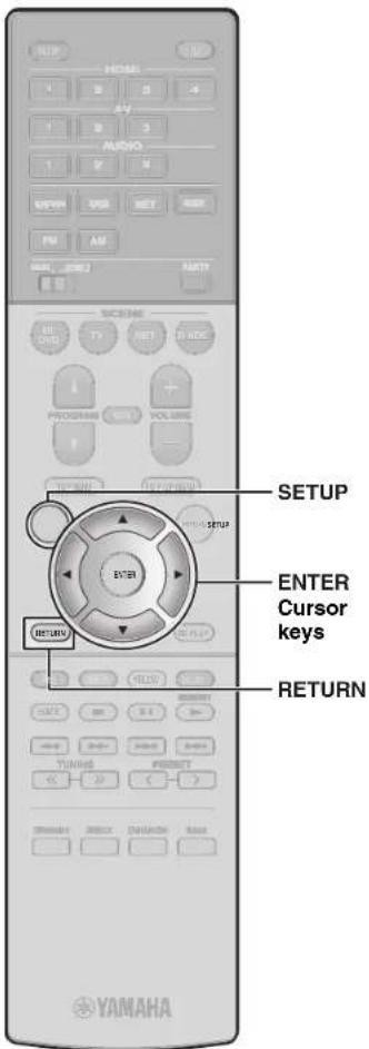 YAMAHA MusicCast RXS602 - Basic operation of the Option menu - 2