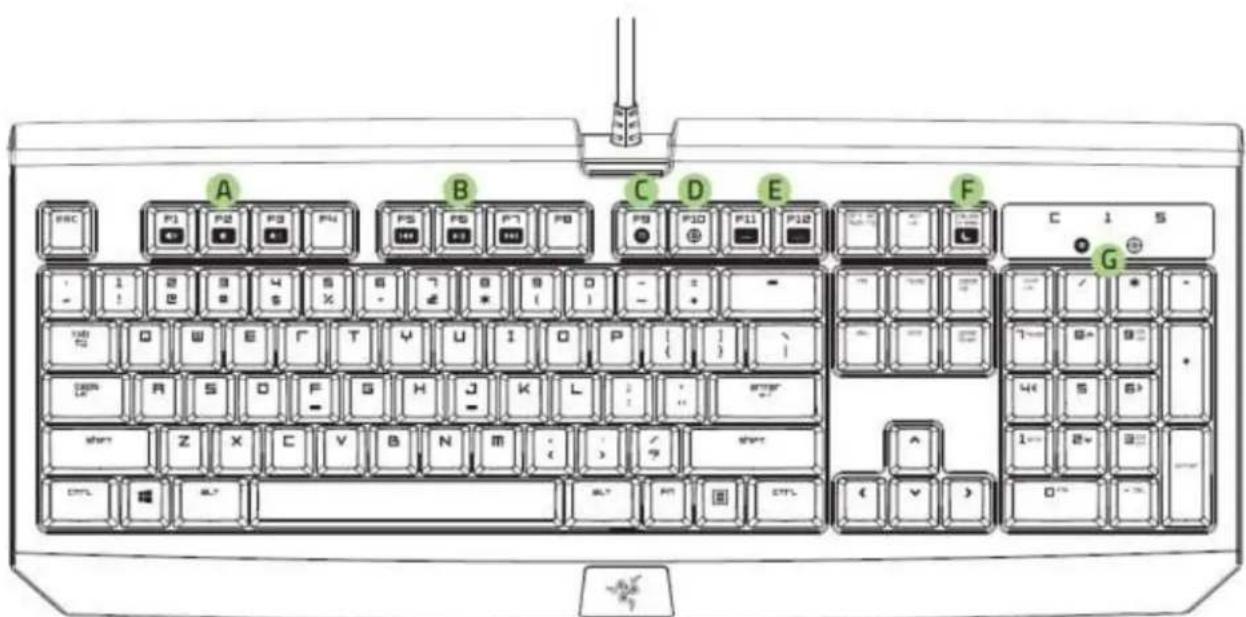 RAZER BlackWidow Ultimate 2016 - PRÉSENTATION DE L'APPAREIL - 1