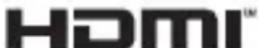 JVC Everio GZR401 - Marcas comerciales - 1