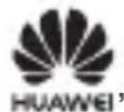 HUAWEI Band 2 Pro - Marken und Rechte - 1