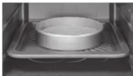PANASONIC NNDS596MEPG - Vlees roosteren: Vierkante - 2