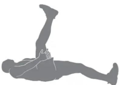 BOWFLEX Max Trainer M7i - Relevés de jambes en position allongée - 1