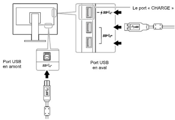EIZO ColorEdge CS2420 - ● Procédure de connexion (installation de la fonction USB) - 1
