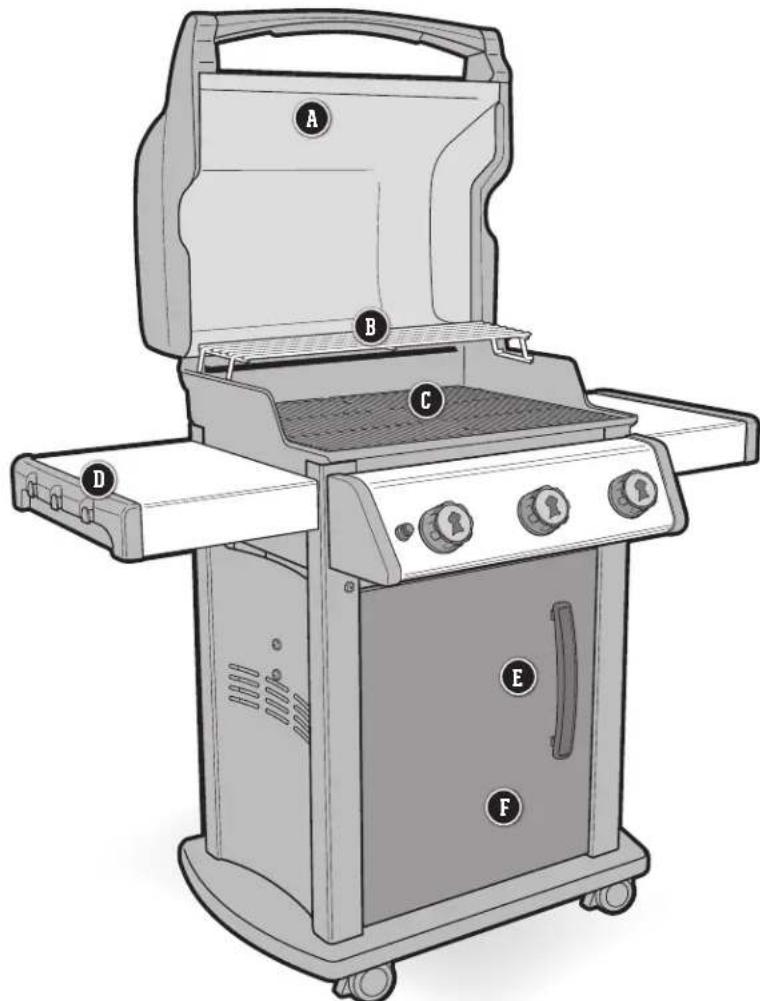 WEBER Genesis II E410 GBS - CARACTERISTIQUES DU SPIRIT - 1