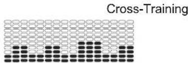 Nautilus U628 - CHALLENGES - 2