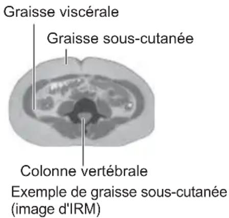 OMRON VIVA - Graisse sous-cutanée = graisse située sous la peau - 1