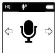 PHILIPS Voice Tracer DVT1250 - Réglages radio : (DVT2000) - 2