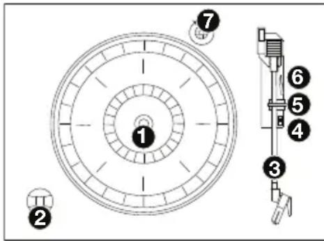 ION Octave LP - Oberseite - 1