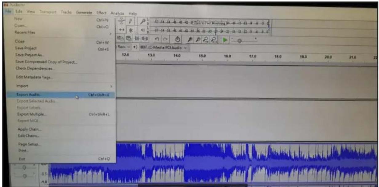 BIGBEN TD114 - Enregistrement à l'aide d'Audacity - 5