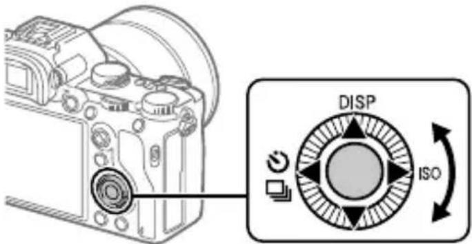 SONY Alpha A7R III - Using the control wheel - 1