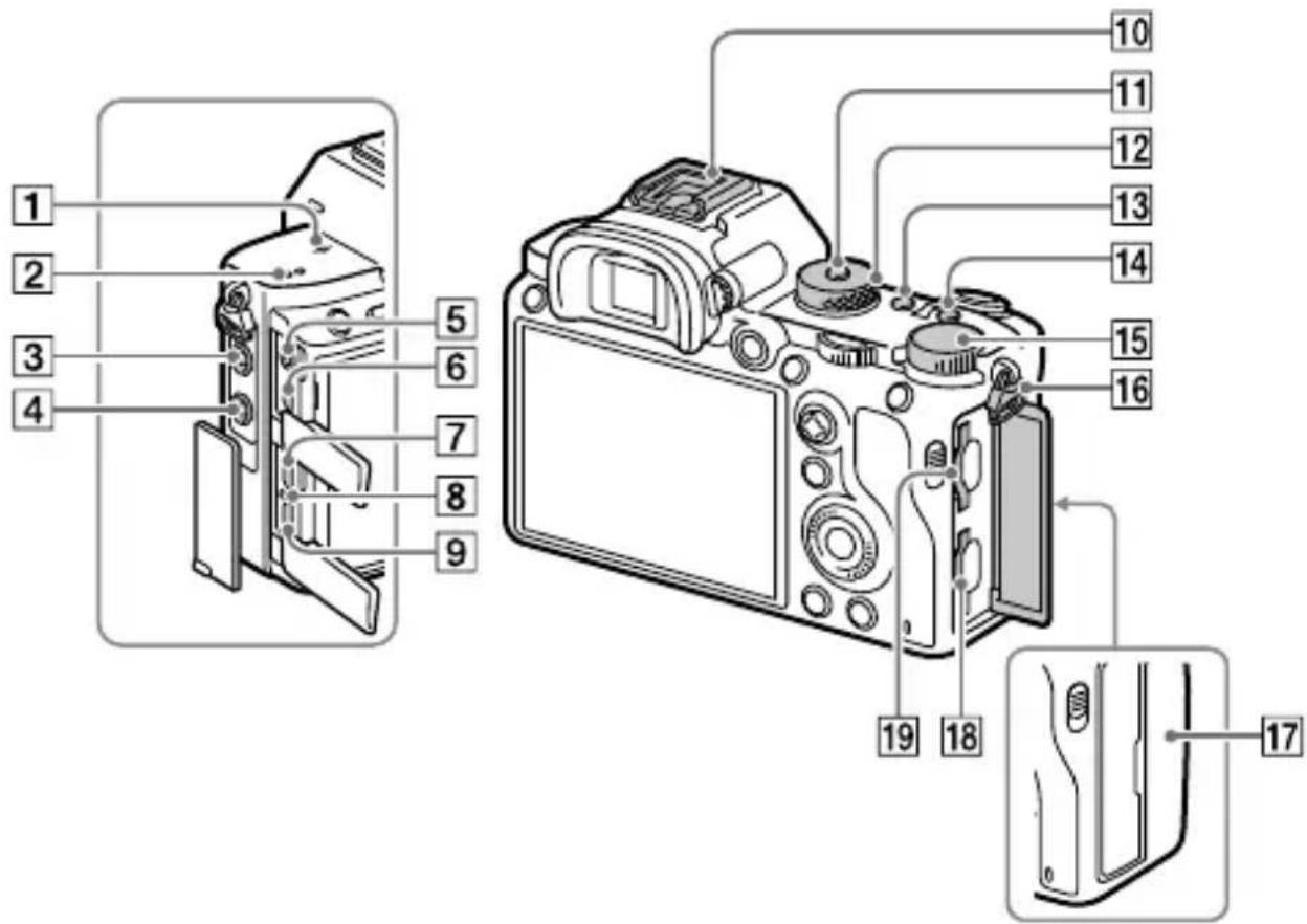 SONY Alpha A7R III - Top side/Side view - 1