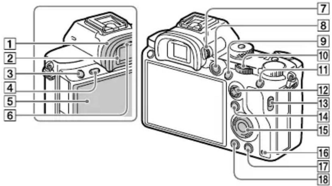 SONY Alpha A7R III - Arrière - 1