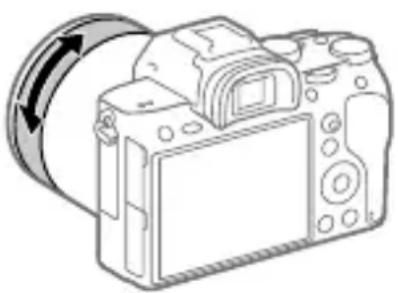 SONY Alpha A7R III - Mise au point manuelle directe (DMF) - 1