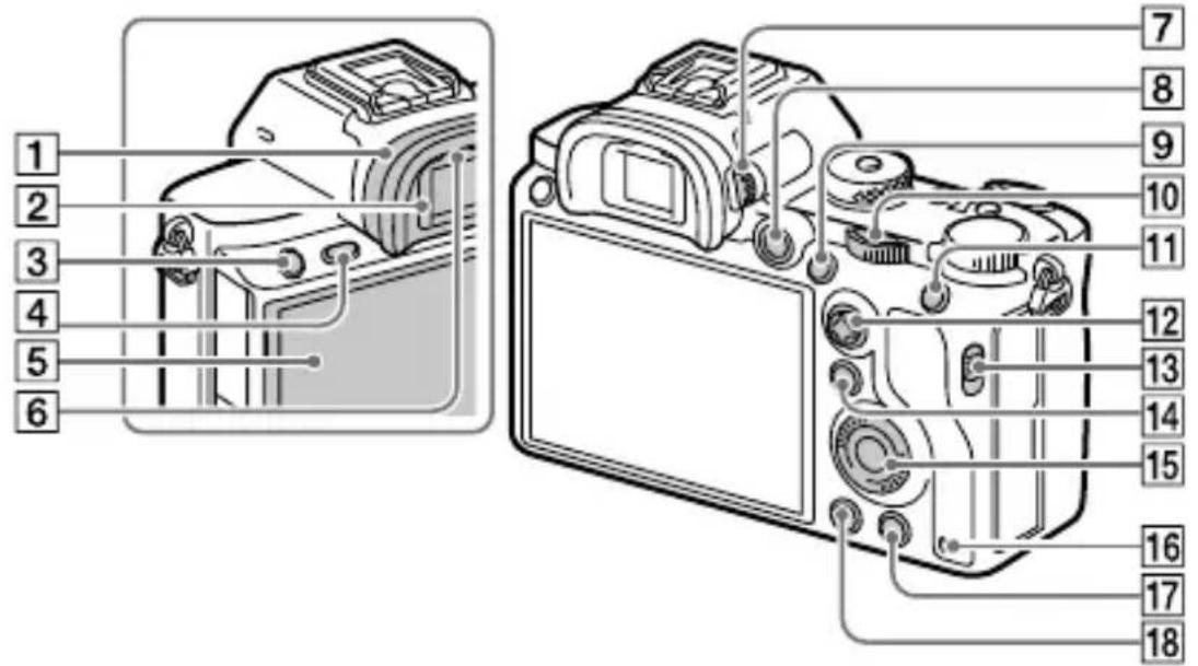 SONY Alpha A7R III - Rear side - 1