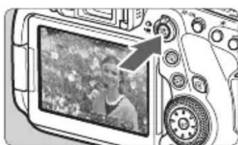 CANON EF 24105mm f4L IS II USM - Shooting with the Touch Shutter - 1