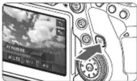 CANON EF 24105mm f4L IS II USM - Display the Live View image. - 1