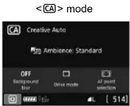 CANON EF 24105mm f4L IS II USM - Basic Zone modes (Sample screen) - 1