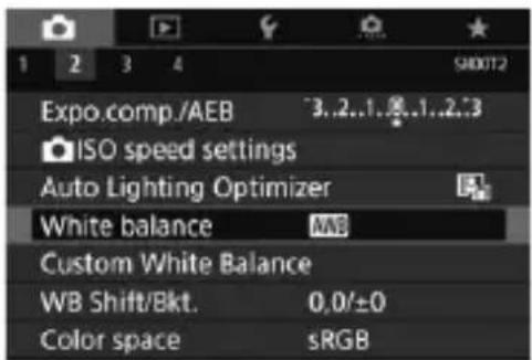 CANON EF 24105mm f4L IS II USM - AWB Auto White Balance - 1